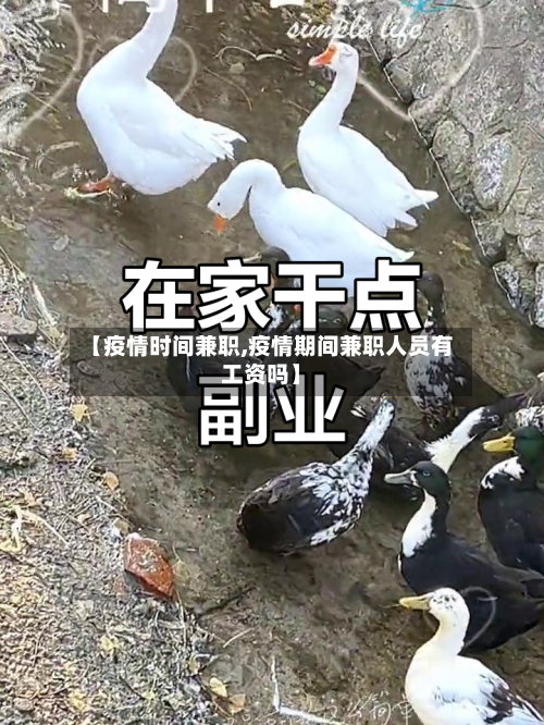 【疫情时间兼职,疫情期间兼职人员有工资吗】-第1张图片