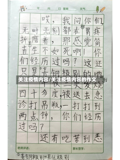 关注疫情内容/关注疫情内容的作文