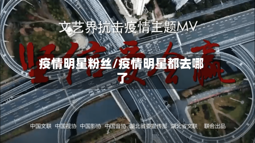 疫情明星粉丝/疫情明星都去哪了-第2张图片