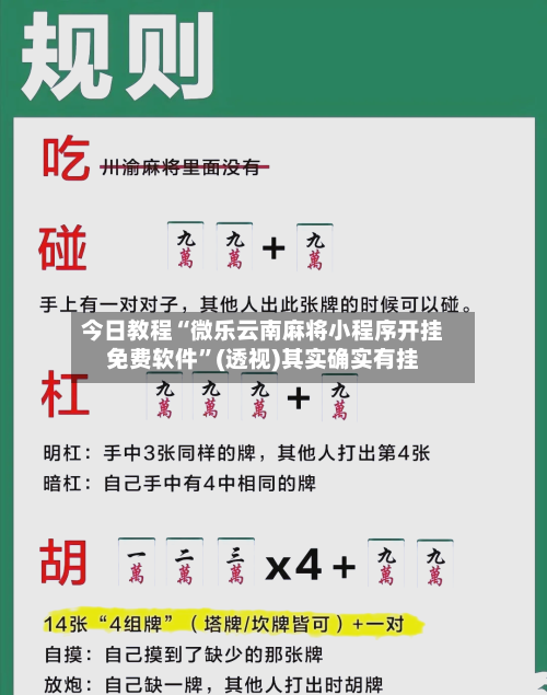 今日教程“微乐云南麻将小程序开挂免费软件	”(透视)其实确实有挂-第1张图片