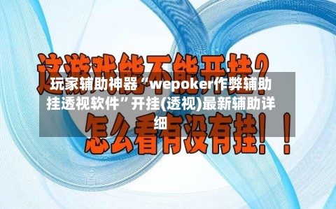 玩家辅助神器“wepoker作弊辅助挂透视软件”开挂(透视)最新辅助详细-第3张图片