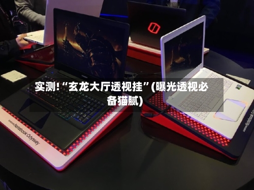 实测!“玄龙大厅透视挂”(曝光透视必备猫腻)