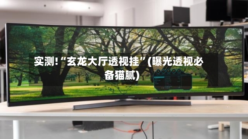 实测!“玄龙大厅透视挂”(曝光透视必备猫腻)-第2张图片