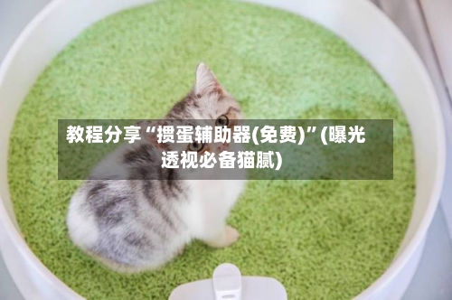 教程分享“掼蛋辅助器(免费)”(曝光透视必备猫腻)