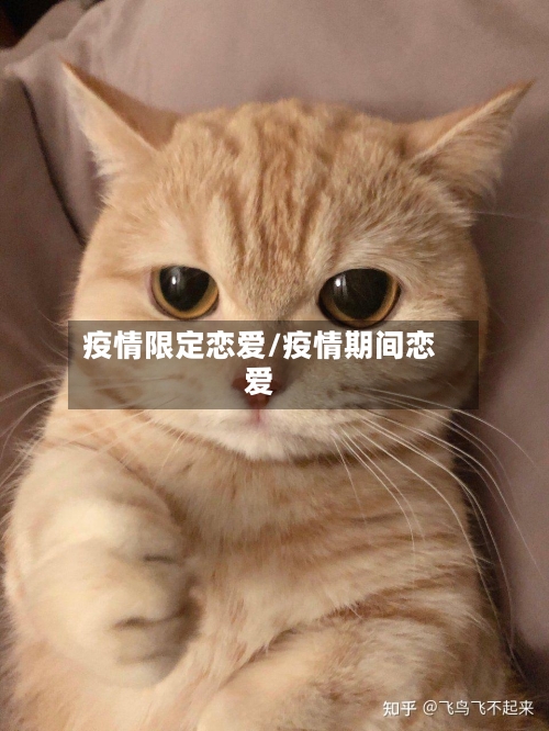 疫情限定恋爱/疫情期间恋爱-第1张图片