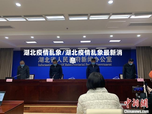 湖北疫情乱象/湖北疫情乱象最新消息