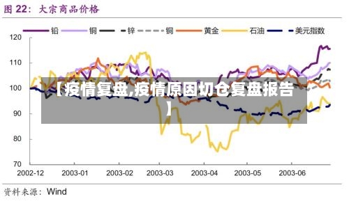【疫情复盘,疫情原因切仓复盘报告】-第1张图片