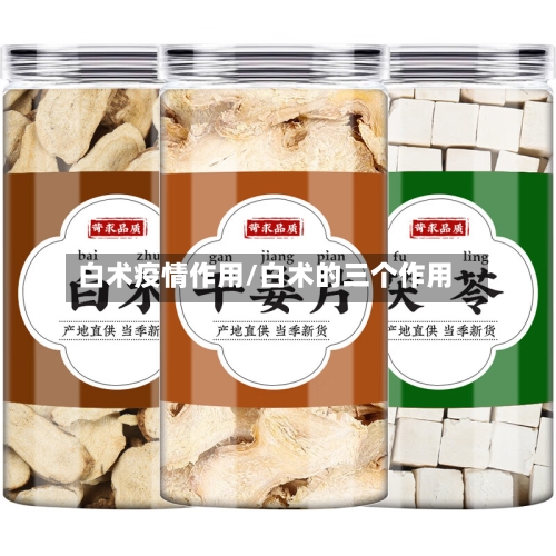 白术疫情作用/白术的三个作用-第1张图片