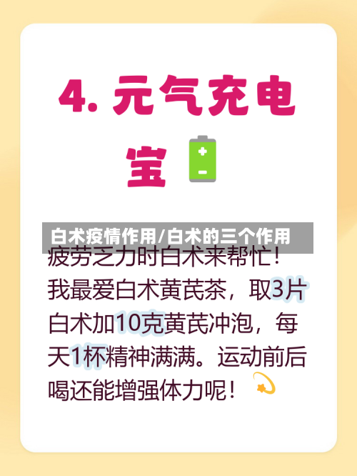 白术疫情作用/白术的三个作用-第2张图片