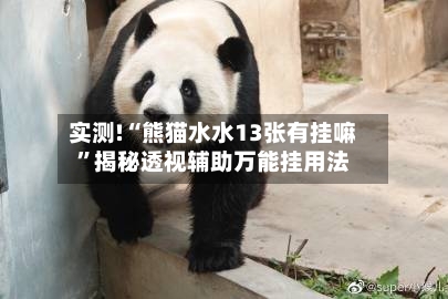 实测!“熊猫水水13张有挂嘛”揭秘透视辅助万能挂用法-第2张图片
