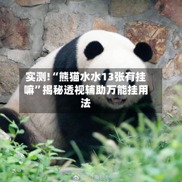 实测!“熊猫水水13张有挂嘛”揭秘透视辅助万能挂用法