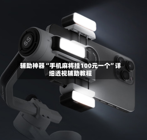 辅助神器“手机麻将挂100元一个”详细透视辅助教程