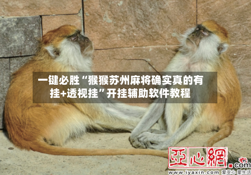 一键必胜“猴猴苏州麻将确实真的有挂+透视挂”开挂辅助软件教程