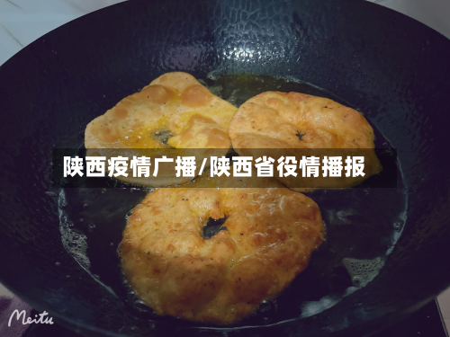 陕西疫情广播/陕西省役情播报-第2张图片