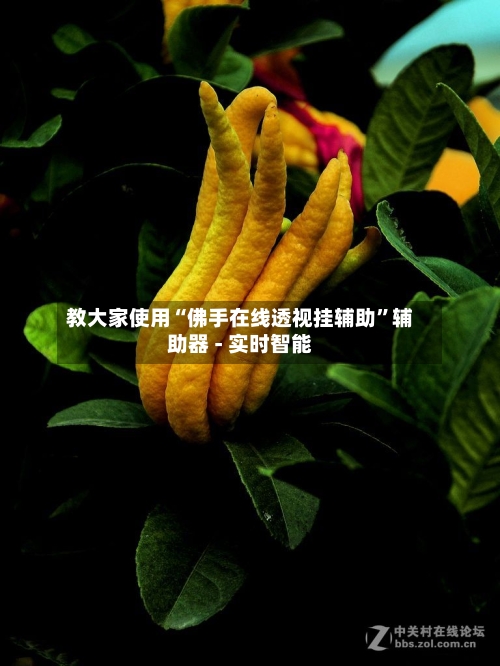 教大家使用“佛手在线透视挂辅助”辅助器 - 实时智能