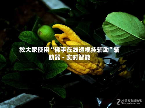 教大家使用“佛手在线透视挂辅助”辅助器 - 实时智能-第2张图片