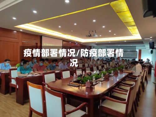 疫情部署情况/防疫部署情况
