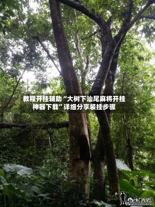 教程开挂辅助“大树下汕尾麻将开挂神器下载”详细分享装挂步骤