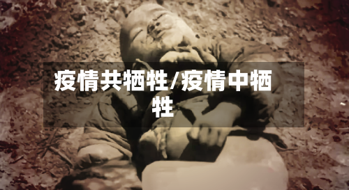 疫情共牺牲/疫情中牺牲