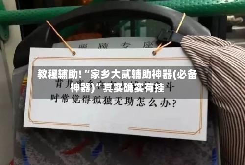 教程辅助!“家乡大贰辅助神器(必备神器)”其实确实有挂-第1张图片