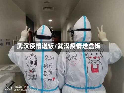武汉疫情送饭/武汉疫情送盒饭