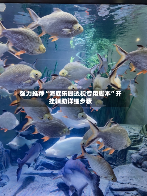 强力推荐“海底乐园透视专用脚本	”开挂辅助详细步骤-第2张图片