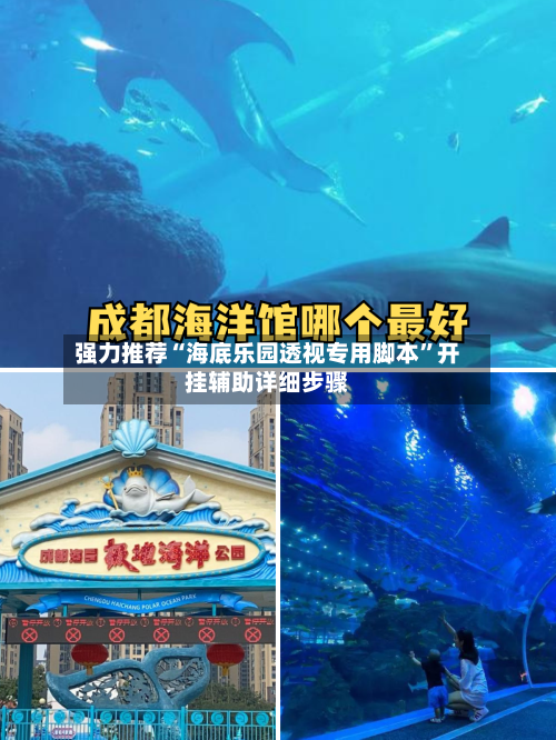 强力推荐“海底乐园透视专用脚本”开挂辅助详细步骤