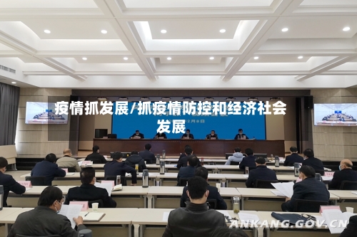 疫情抓发展/抓疫情防控和经济社会发展