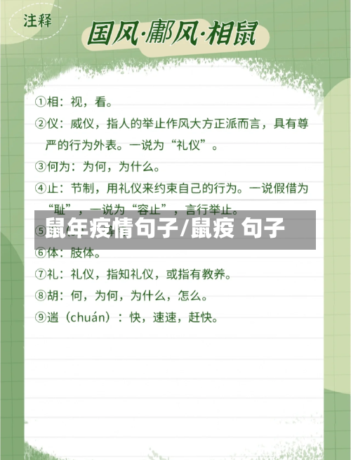 鼠年疫情句子/鼠疫 句子-第2张图片
