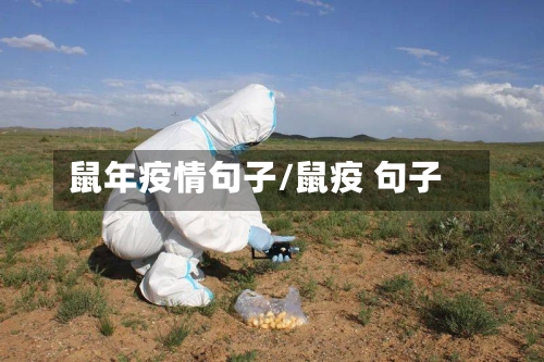 鼠年疫情句子/鼠疫 句子