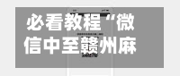必看教程“微信中至赣州麻将开挂器”科技辅助神器手机版教程