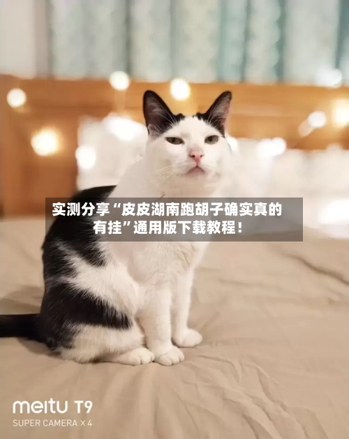 实测分享“皮皮湖南跑胡子确实真的有挂”通用版下载教程！