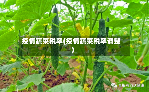 疫情蔬菜税率(疫情蔬菜税率调整)-第2张图片