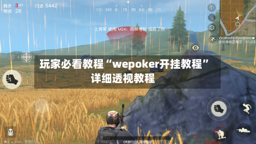 玩家必看教程“wepoker开挂教程”详细透视教程-第1张图片