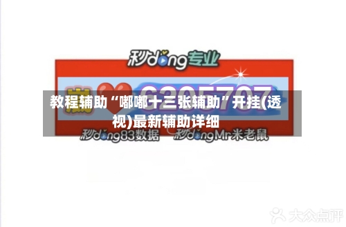 教程辅助“嘟嘟十三张辅助”开挂(透视)最新辅助详细