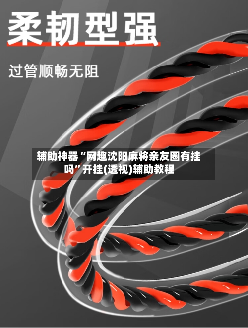 辅助神器“网趣沈阳麻将亲友圈有挂吗	”开挂(透视)辅助教程-第1张图片