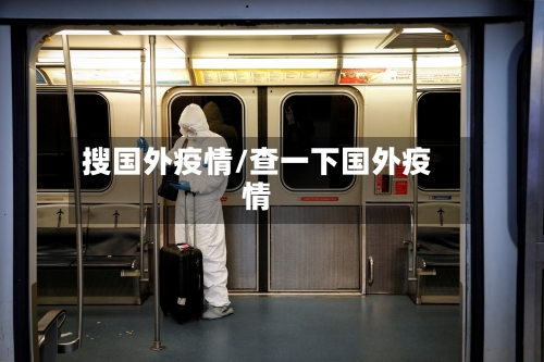 搜国外疫情/查一下国外疫情