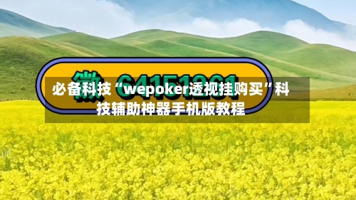 必备科技“wepoker透视挂购买”科技辅助神器手机版教程