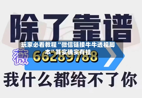 玩家必看教程“微信链接牛牛透视脚本”其实确实有挂-第2张图片