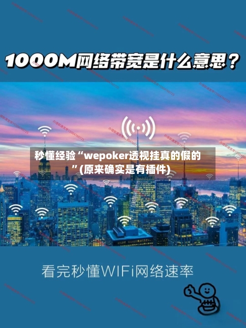 秒懂经验“wepoker透视挂真的假的”(原来确实是有插件)