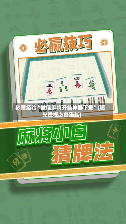 秒懂经验“微信麻将开挂神器下载”(曝光透视必备猫腻)