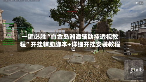 一键必胜“白金岛湘潭辅助挂透视教程	”开挂辅助脚本+详细开挂安装教程-第1张图片