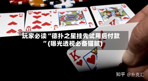 玩家必读“德扑之星挂先试用后付款”(曝光透视必备猫腻)-第1张图片