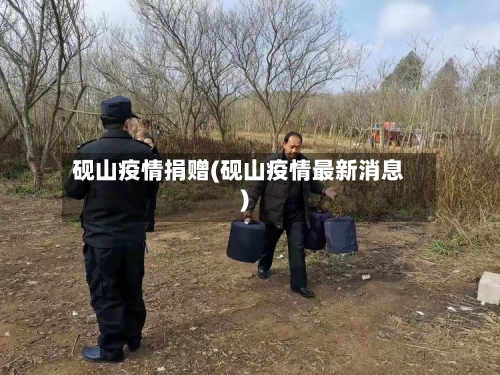 砚山疫情捐赠(砚山疫情最新消息)-第3张图片