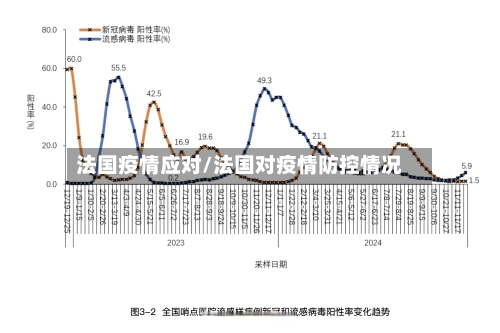 法国疫情应对/法国对疫情防控情况