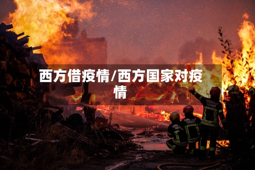 西方借疫情/西方国家对疫情-第1张图片