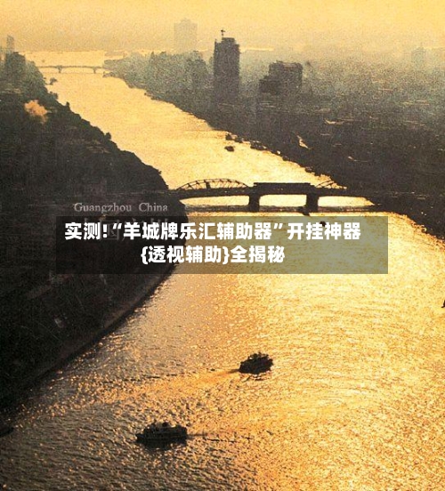 实测!“羊城牌乐汇辅助器”开挂神器{透视辅助}全揭秘