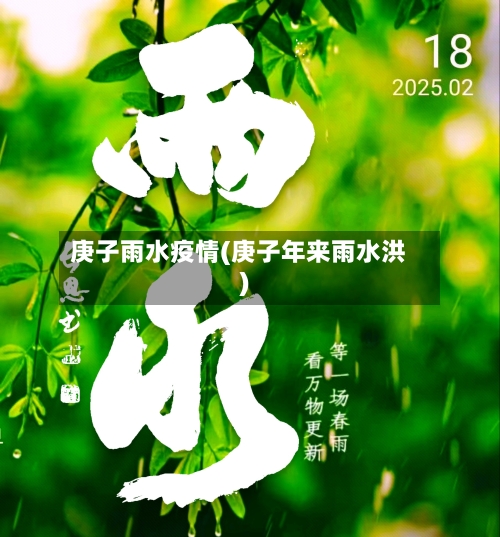 庚子雨水疫情(庚子年来雨水洪)