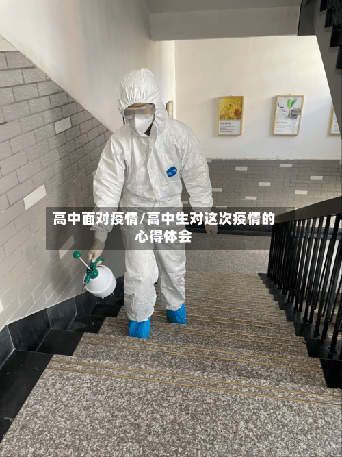 高中面对疫情/高中生对这次疫情的心得体会