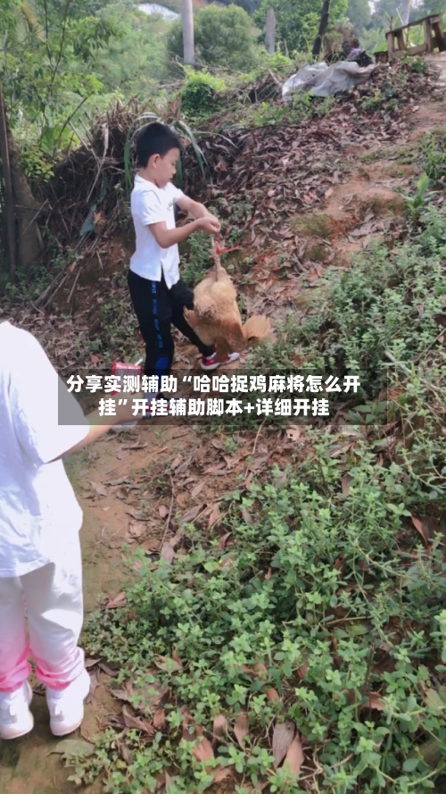 分享实测辅助“哈哈捉鸡麻将怎么开挂”开挂辅助脚本+详细开挂